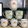 Hình Ảnh Logo In Lên Ly Chén Dĩa, Bình Thủy Tinh, Sứ
